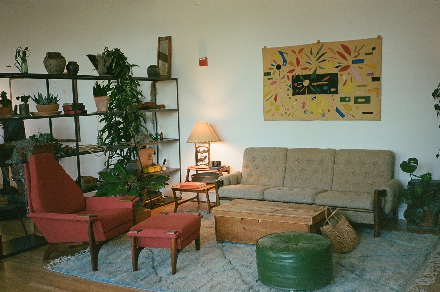 A sunlit room with a red armchair, shelves of plants and pottery, and a printed textile on the wall.